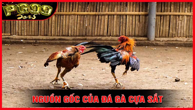 Nguồn gốc của đá gà cựa sắt